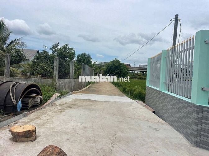 Bán Đất Phước Tú, Thanh Phú, Bến Lức, Long An