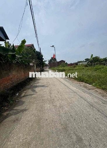 Bán đất thổ cư khuân viên đẹp cách đường quốc lộ 3 .100m đường oto