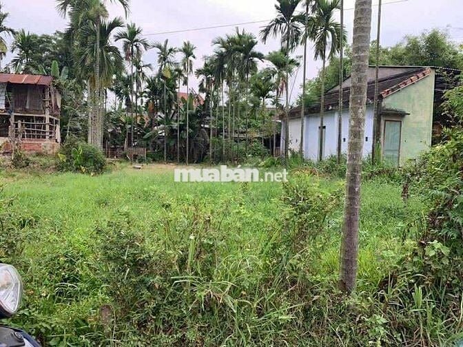 ĐẤT VỊ TRÍ ĐẸP TẠI Trà Đông , xã Duy Vinh, huyện Duy Xuyên, Quảng Nam