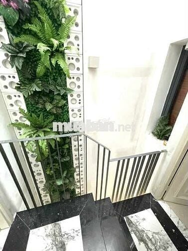 CHỦ NGỘP BANK CẦN RA GẤP NHÀ QUANG TRUNG, 4 × 19= 78M2, 6,7 TỶ