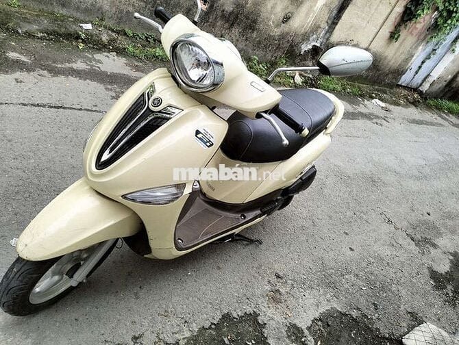 Noza fi zin nguyên bảng 9 chủ