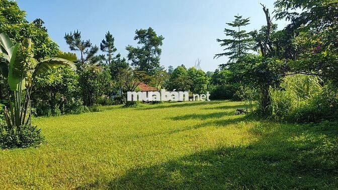 Đất HN view hồ giá chỉ vài triệu 1 mét vuông, 40 phút lái xe