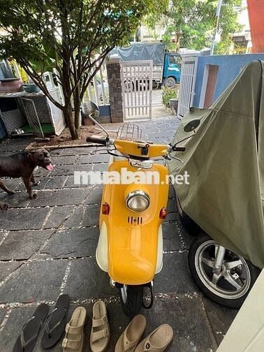 Cần bán xe julio bãi nhật gtdd