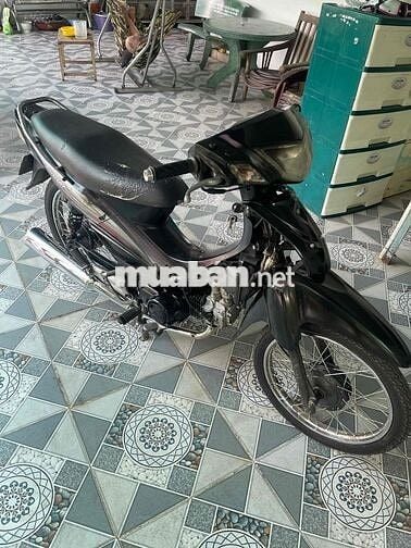 Elegant 100cc