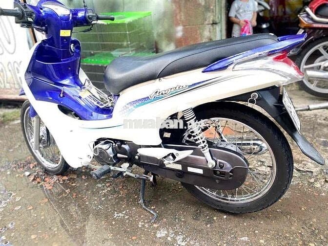 xe 50cc không cần bằng lái