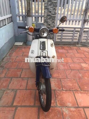 XE HONDA CUB 81
