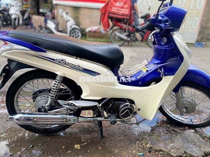 xe 50cc không cần bằng lái