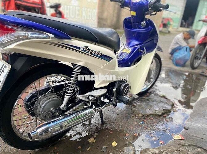 xe 50cc không cần bằng lái