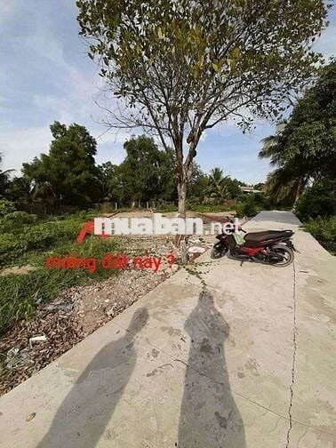 190mv THỔ CƯ, MẶT TIỀN , VIEW KÊNH ,MÁT MẼ ,TP TÂN AN LONG AN