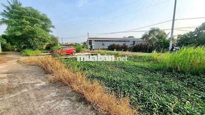 190mv THỔ CƯ, MẶT TIỀN , VIEW KÊNH ,MÁT MẼ ,TP TÂN AN LONG AN