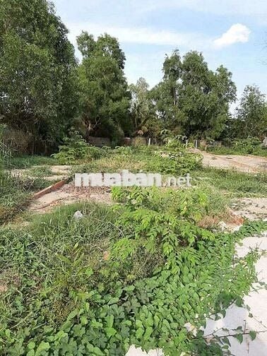 190mv THỔ CƯ, MẶT TIỀN , VIEW KÊNH ,MÁT MẼ ,TP TÂN AN LONG AN