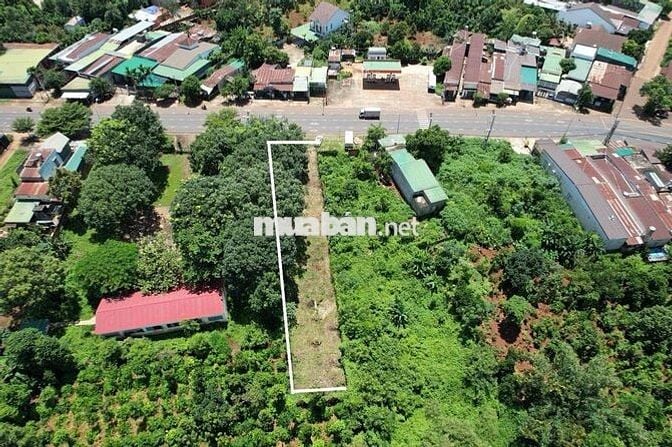 BÁN ĐẤT MẶT TIỀN KINH DOANH-KCN TÂN AN - 9x68- 70m thổ cư