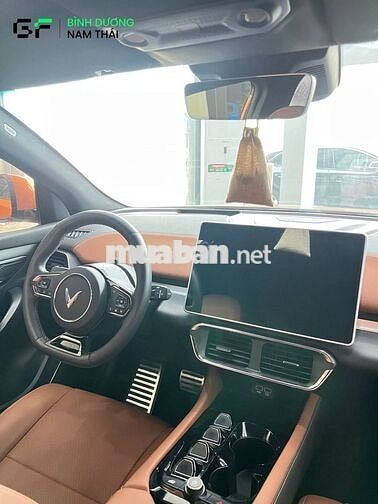 VF8 Plus 2022 Pin SDI