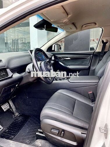 VF8 Eco Pin SDI 2023