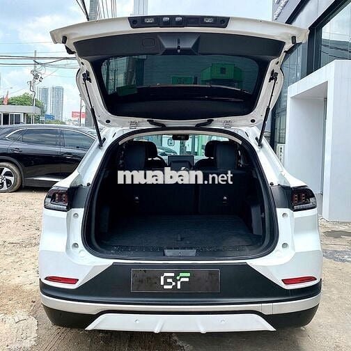 VF8 Eco Pin SDI 2023