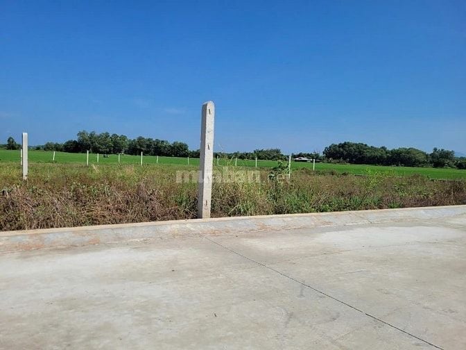 5x39 có thổ, gần cổng KCN. Đường bê tông. 350tr 