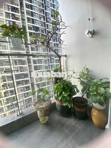 Bán căn hộ 1PN+  Masteri, khu đô thị Vinhomes Smart city