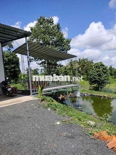 HỢP LÝ NHẤT LÚC NÀY - CHỈ 1.250 Tỷ - Nhà vườn 1000mv tại Thôn4, Cư Êbu