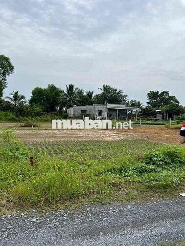 Đất Thị Trấn Trảng Bàng 5x22 thổ giá 485tr sau lưng KCN