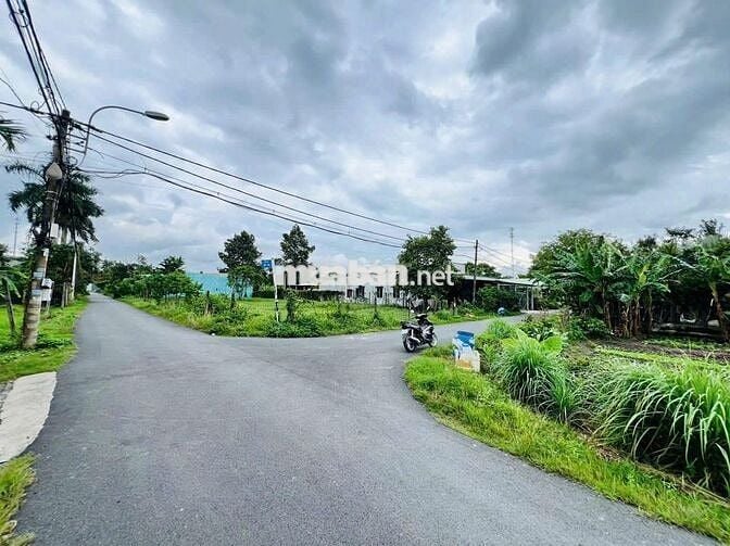 520triệu - 295m2 nở hậu, chốt nhanh thương lượng thêm, Tân Thông Hội