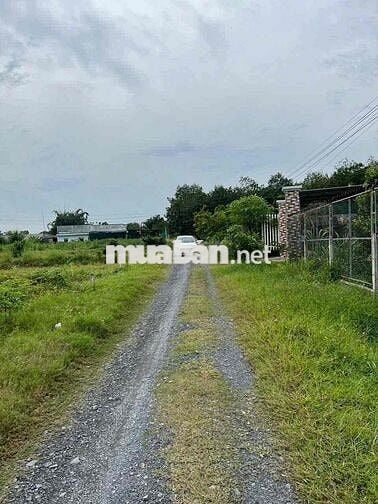 Đất Thị Trấn Trảng Bàng 5x22 thổ giá 485tr sau lưng KCN