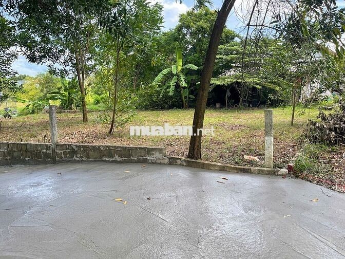 Đất kiệt ô tô Phú Bài, sau lưng quán Tân Lá Đỏ