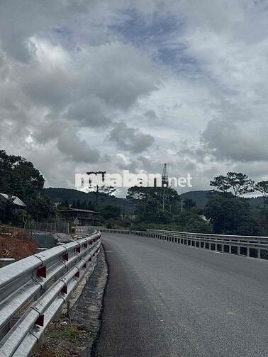 cần bán lô đất mặt tiền mimosa view rừng thông giá cực tốt đà lạt.