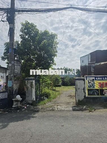 ĐẤT MẶT TIỀN KINH DOANH ĐÔNG THẠNH 1_5, DT:110m2,SHR, CHỈ 4.28 TỶ