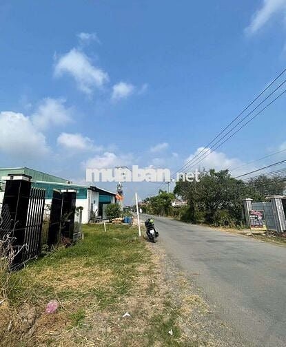 Đất MT đường An Phú An Hoà Trảng Bàng Tây Ninh. Giá 980trieu/195m2 SHR
