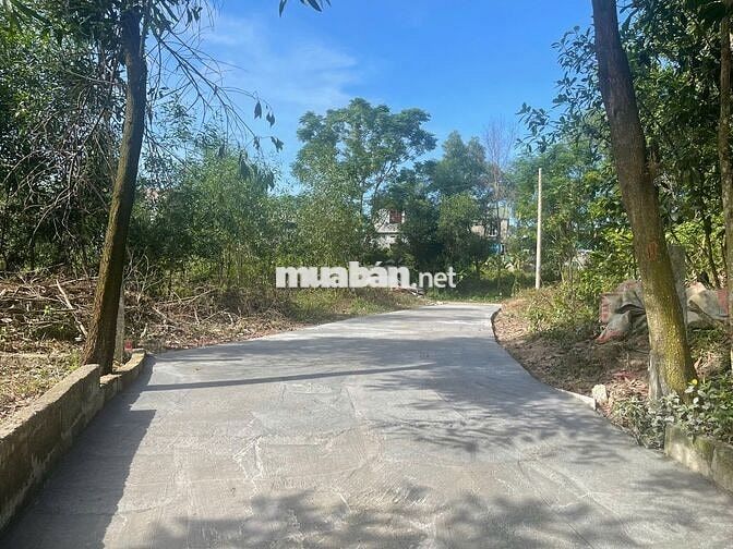 Đất kiệt ô tô Phú Bài, sau lưng quán Tân Lá Đỏ