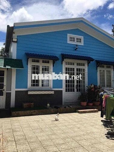 ngộp bank cần bán villa sân vườn giá cực tốt tại đà lạt