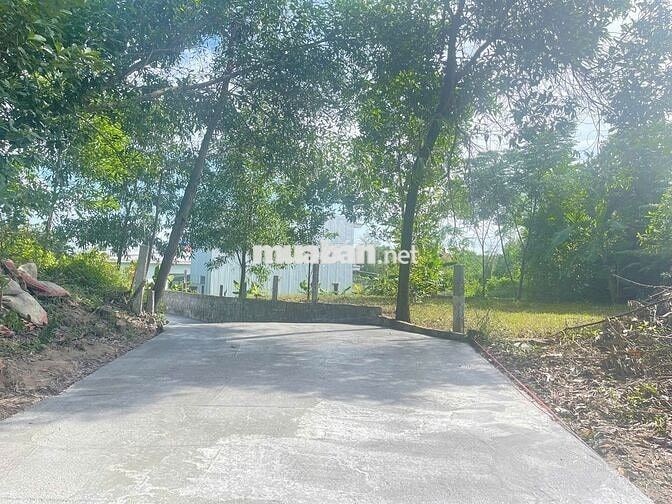Đất kiệt ô tô Phú Bài, sau lưng quán Tân Lá Đỏ