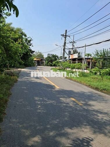 Cho thuê nhà cấp 4 nguyên căn đường nhựa trung an, củ chi