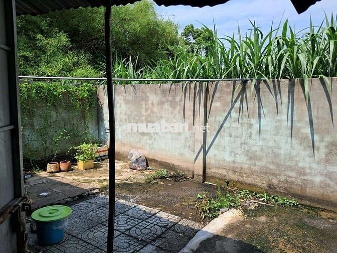 Cho thuê nhà cấp 4 nguyên căn đường nhựa trung an, củ chi