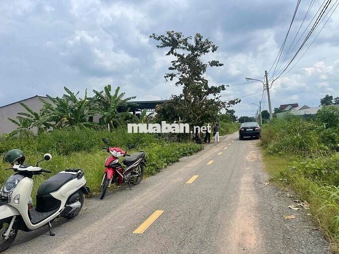 chính chủ cần bán đất bàu bàng giá chỉ 840tr