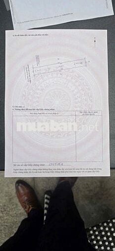 chính chủ cần bán đất bàu bàng giá chỉ 840tr