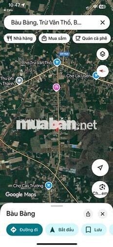 chính chủ cần bán đất bàu bàng giá chỉ 840tr