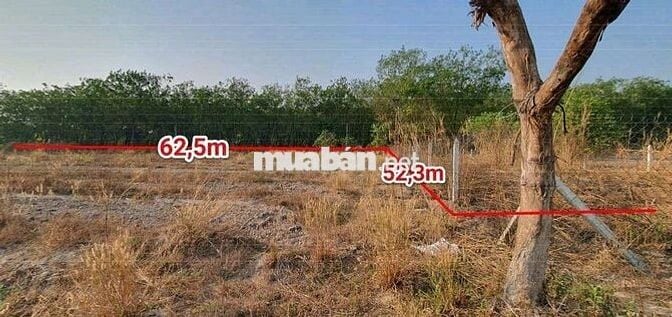 ĐẤT THỔ CƯ GIÁ RẺ TẠI HÒA LỢI BẾN CÁT TPHCM. GIÁ CHỈ HƠN 8 TRIẸU 1 M2
