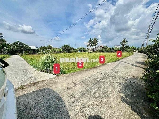 ĐẤT FULL THỔ CƯ - KHU DÂN CƯ SẦM UẤT TẠI CHÂU THÀNH LONG AN