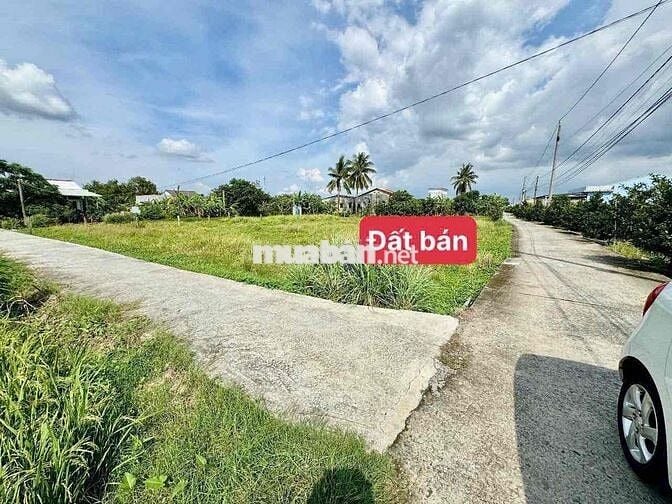ĐẤT FULL THỔ CƯ - KHU DÂN CƯ SẦM UẤT TẠI CHÂU THÀNH LONG AN