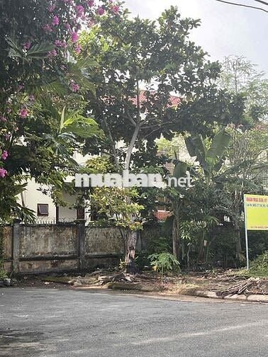 Lô góc Đào Công Soạn cách biển 100m thông thoáng 3 mặt