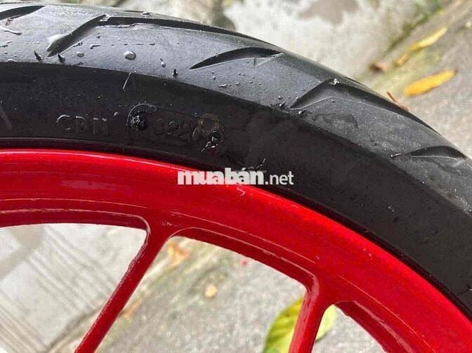 Sonic bstp ngay chủ kí