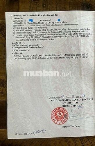 125M2 ĐẤT ĐẸP BÀ THIÊN NHUẬN ĐỨC ĐẦU TƯ HAY XÂY NHÀ ĐỀU LỢI NHUẬN CAO