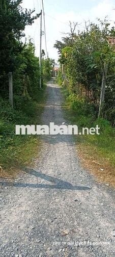 Chính chủ cần bán gấp đất khu dân cư