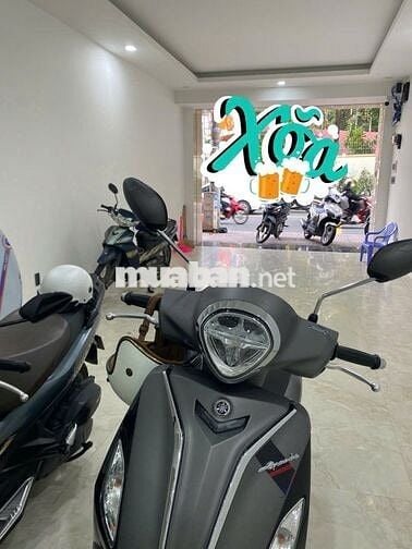 Mặt Tiền Phổ Quang 35m2 Gần Công Viên - Sát Đào Duy Anh Phường 9 QPN
