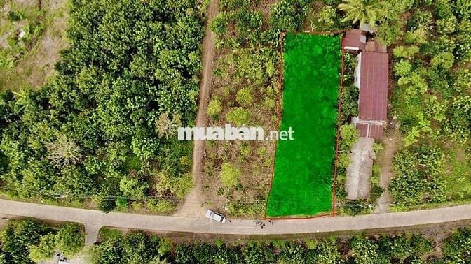🏡 BÁN ĐẤT CHÍNH CHỦ – GIÁ 620 TRIỆU, BAO GIẤY TỜ