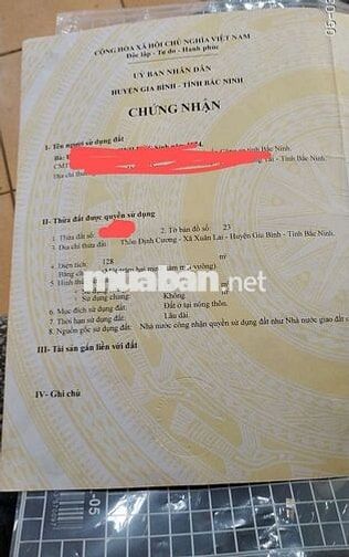 CC CẦN BÁN LÔ THỔ CƯ MẶT QL17 ĐOẠN XUÂN LAI, GIA BÌNH, BẮC NINH