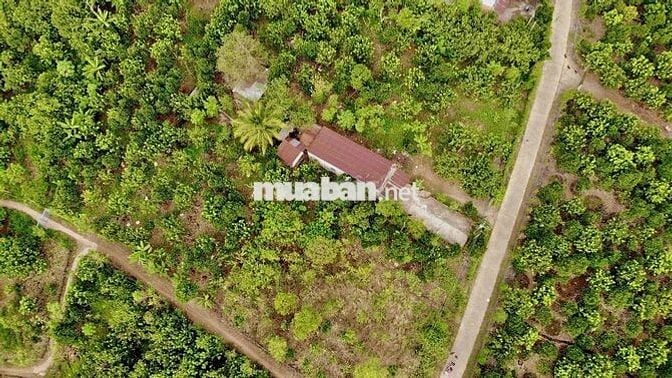 🏡 BÁN ĐẤT CHÍNH CHỦ – GIÁ 620 TRIỆU, BAO GIẤY TỜ