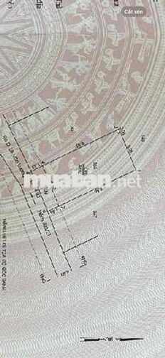 ĐẤT NÊN 55M2 – KỀ HẺM XE HƠI – GẦN NGUYỄN VĂN LINH, PHƯỚC KIỂN, NHÀ BÈ