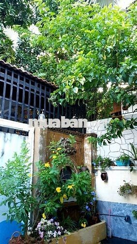 Cho thuê hoặc sang nhượng Homestay đẹp xinh bãi sau Vũng Tàu